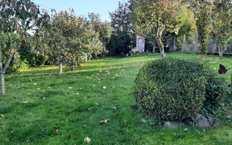 Der große garten hat viele Obstbäume