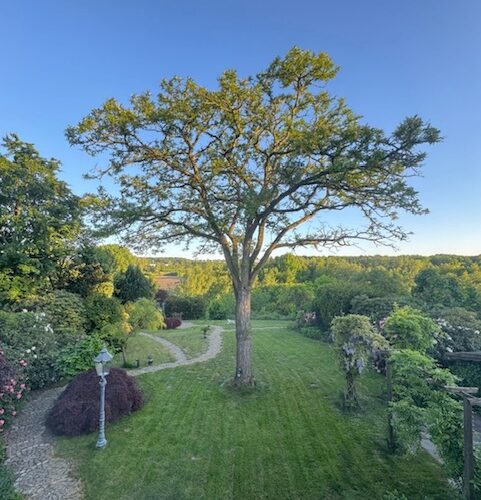 Gartenansicht vom Balkon der Einfamilienhauses in Iserlohn-Hennen im Sommer. der Weitblick ist unverbaubar.