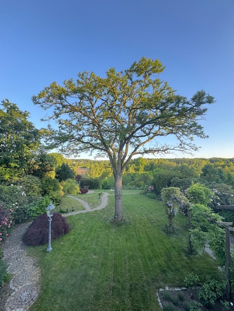 Gartenansicht vom Balkon der Einfamilienhauses in Iserlohn-Hennen im Sommer. der Weitblick ist unverbaubar.